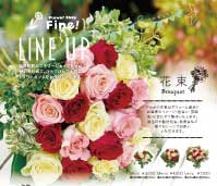 Fine2